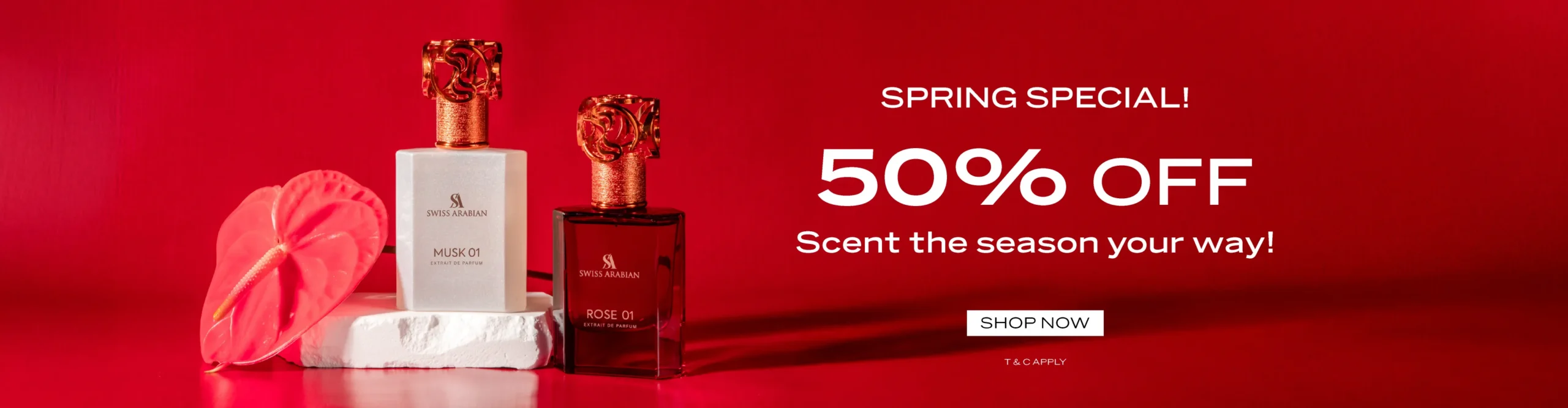 spring_special_desktop_E